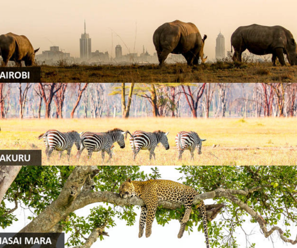 Azani Prestige Tours Kenya Safari Getaway: Nairobi, Lake Nakuru & Masai Mara Adventure